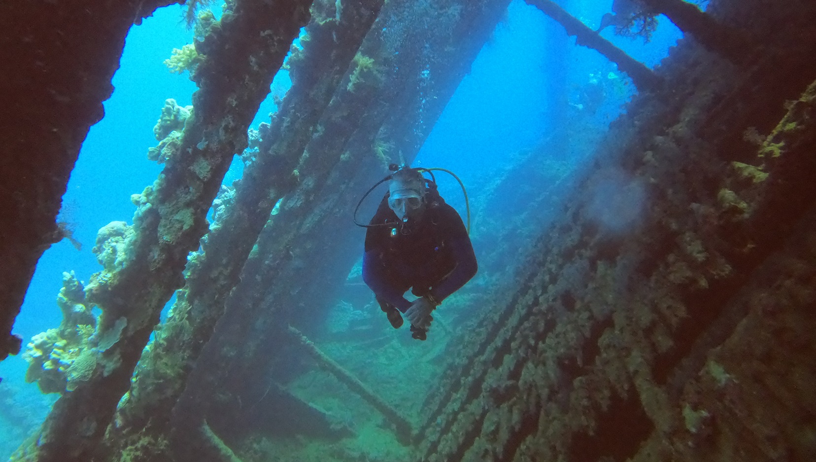 Diver in wreck