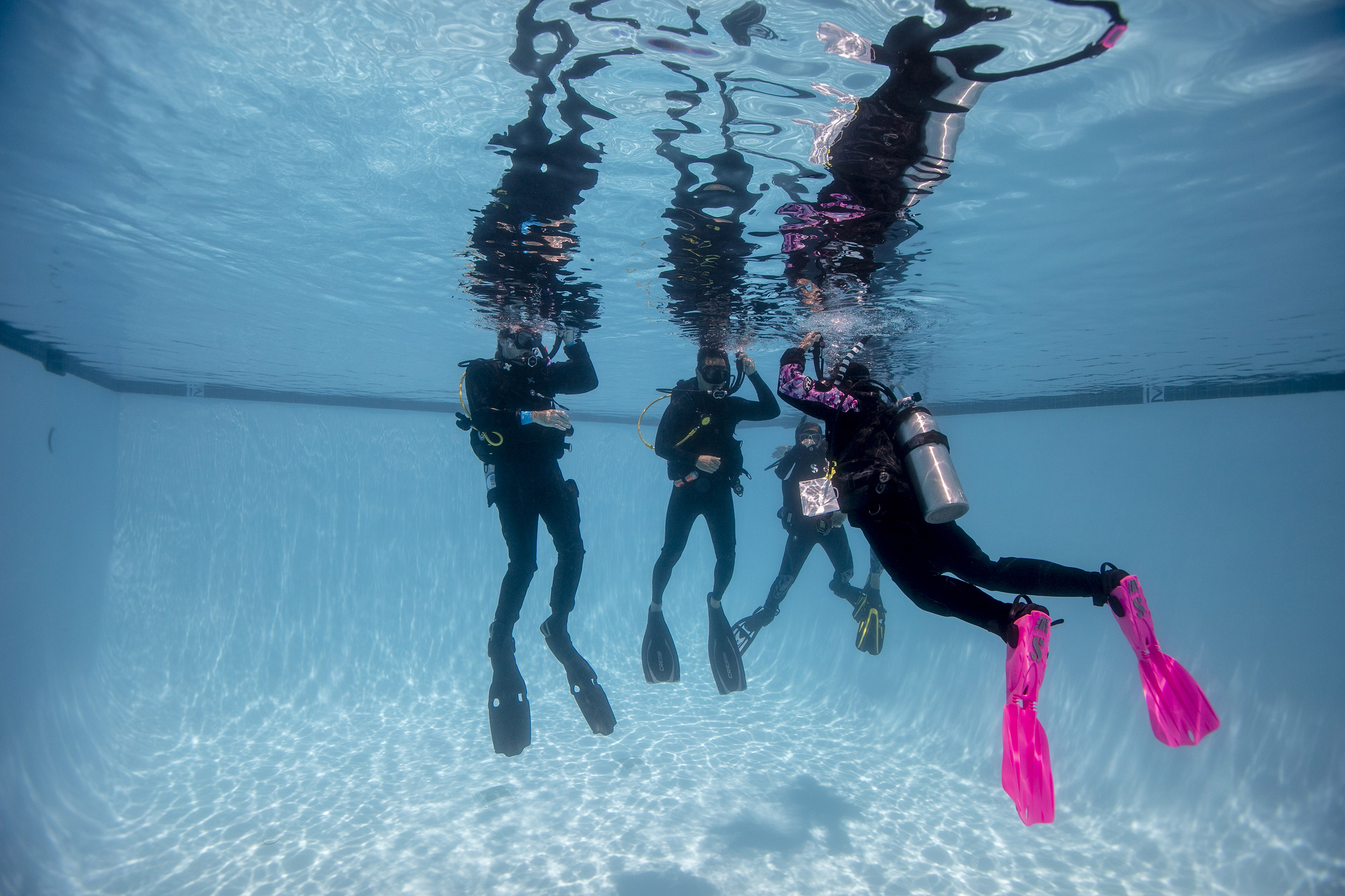 Divers in the pool