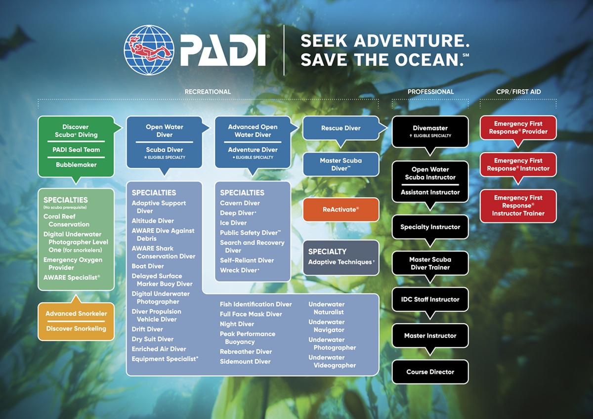 PADI Course Flow chart