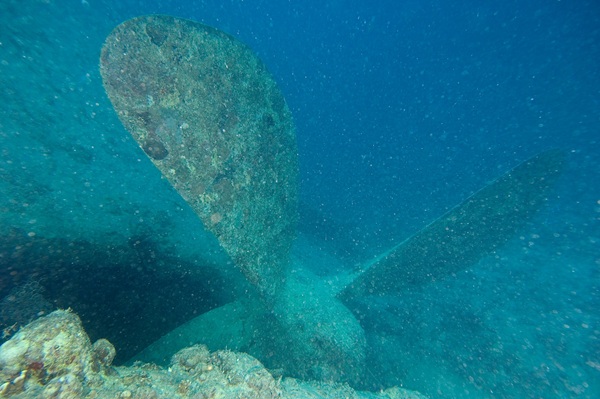 Thistlegorm propeller